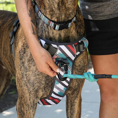Embark Adventure Dog Harness, Reflective Trim XL Dog Harness for Extra Large Dogs No Pull - Military Grade Nylon, 2 Leash Clips &amp; Gel Lined Handle.