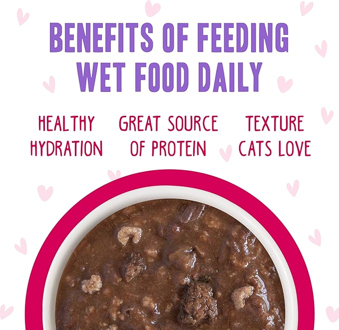 Weruva B.F.F. OMG - Best Feline Friend Oh My Gravy!, Tuna &amp; Duck Dilly Dally with Tuna &amp; Duck, 5.5oz Can (Pack of 8)