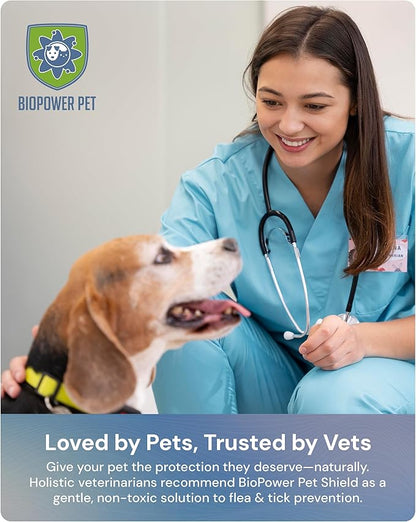 Natural Flea &amp; Tick Repellent Collar Tag for Dogs &amp; Cats – BioPower Pet Shield – Safe for Pets When Used as Directed – Lasts 1 Full Year - Regular Tag (1Pack)