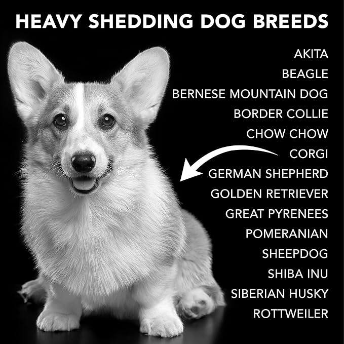 Pride and Groom The Shedder Box Set – Deshedding Dog Shampoo &amp; Conditioner with All Natural Blend of Essential Oils &amp; Ingredients to Moisturize &amp; Untangle Curly and Wavy Coats – 32oz