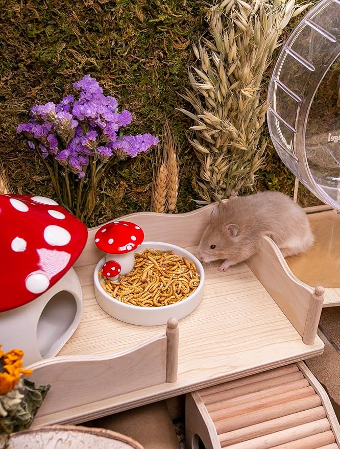 Niteangel Small Animal Snack &amp; Treats Toy - Small Critter Natural Treat for Dwarf Syrian Robo Hamsters Gerbils Mice Lemmings Sugar Glider Hedgehogs Chickens Birds or Other Small-Sized Pets