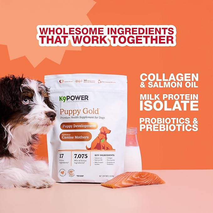 K9 Power Puppy Gold 1 lb - Supplement for Growing Puppies &amp; Nursing Mothers - Essential Nutrients for Healthy Growth &amp; Development - 45 Scoops