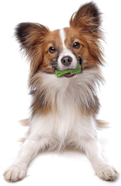 Nylabone Nutri Dent Dog Dental Chews - Natural Dog Teeth Cleaning &amp; Breath Freshener - Dental Treats for Dogs - Fresh Breath Flavor, Mini (160 Count)
