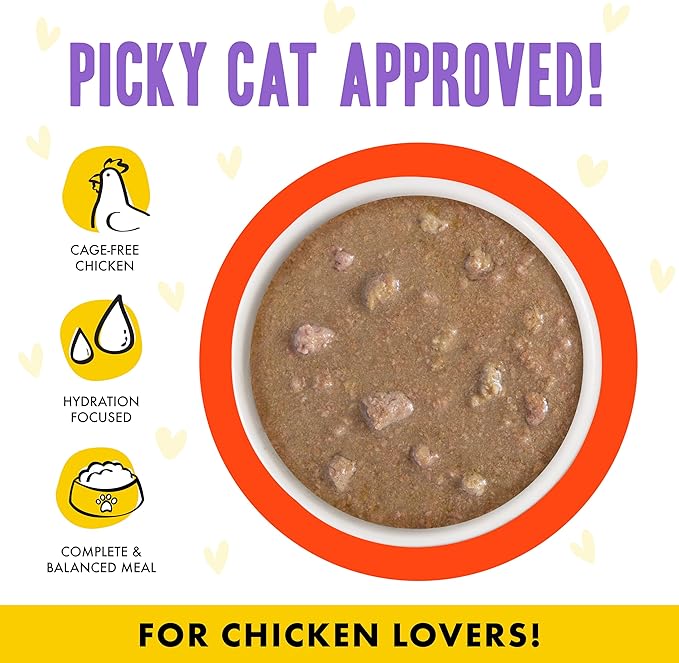 Weruva B.F.F. OMG - Best Feline Friend Oh My Gravy!, Chicken &amp; Salmon Stir It Up with Chicken &amp; Salmon in Gravy, 5.5oz Can (Pack of 8)