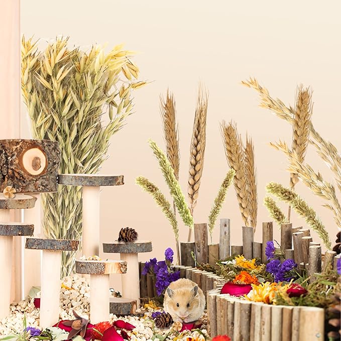 Natural Ear of Grain Flower&amp;Herb Bedding Mate Habitat Decor, Adding Fun Hamster Accessories for Hamsters Gerbils Lemming