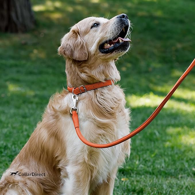 CollarDirect Rolled Leather Dog Collar, Soft Padded Round Puppy Collar, Handmade Genuine Leather Collar Dog Small Large Cat Collars 13 Colors (6 Inch, Orange Textured)