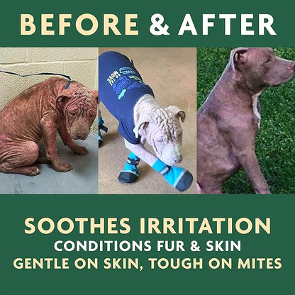 EcoMange Mange Relief for Dogs &amp; Cats – 8 Oz. Cat &amp; Dog Itch Relief, Sarcoptic &amp; Demodectic Mite Spray – Herbal Extract &amp; Essential Oil Itch Relief for Dogs – Natural Cat &amp; Dog Sprays by Vet Organics