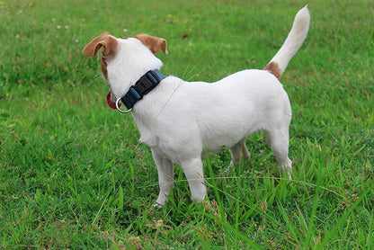 Mikivery Nylon Dog Collar with Quick Release Buckle Soft Adjustable Sturdy for Small Medium Large Dogs Haze Blue,L