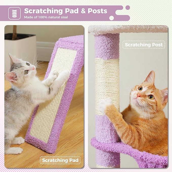 PEQULTI 36.5&