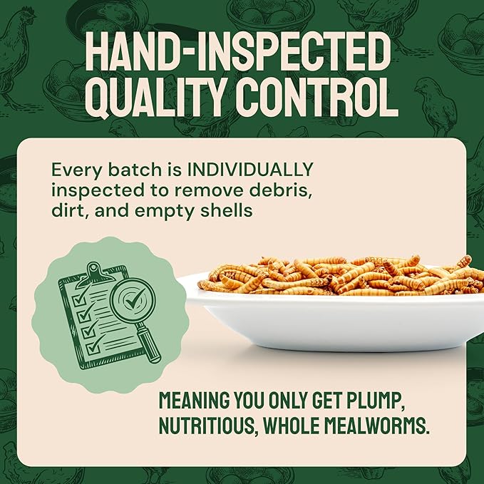 Dried Mealworms - 2 Lb Bag - High Protein Chicken Feed, Mealworms for Birds &amp; Chickens - Meal Worms for Wild Birds &amp; Turtles
