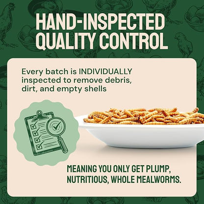Dried Mealworms - 2 Lb Bag - High Protein Chicken Feed, Mealworms for Birds &amp; Chickens - Meal Worms for Wild Birds &amp; Turtles