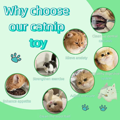 Natural Cat Toys Set with Catnip Fish &amp; Bone,Catnip Plush Toy &amp; Natural Silvervine Stick Cage Balls &amp; cat nip for Cats Lolipop, 8-Piece cat Toys for Indoor Cats Interactive Pet Toys