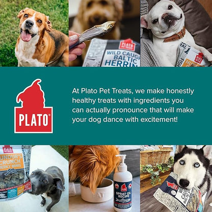 PLATO Pet Treats Fish Dog Treats - Air-Dried, Single Ingredient Dog Treat - with Omega 3 &amp; 6 Fatty Acids to Support Skin and Coat - 100% Whole Fish - Wild Caught Baltic Herring Dog Treats - 8.5 oz