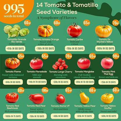 14 Tomatillo &amp; Tomato Seeds for Planting Variety Pack - 990+ Non-GMO Heirloom Vegetable Seeds for Growing Tomato Indoor &amp; Outdoor: Cape Gooseberry, Cherry, Flame, Roma, Beefsteak Tomatoes