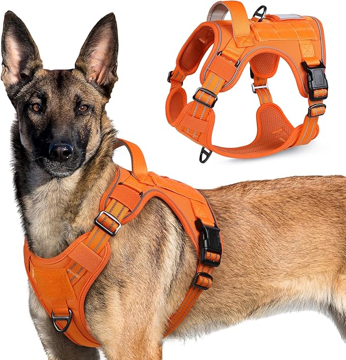 rabbitgoo Tactical Dog Harness for Large Dogs, No Pull Military Service Vest with Handle &amp; Molle, Easy Control for Training Walking, Adjustable Reflective Straps, Orange, XL
