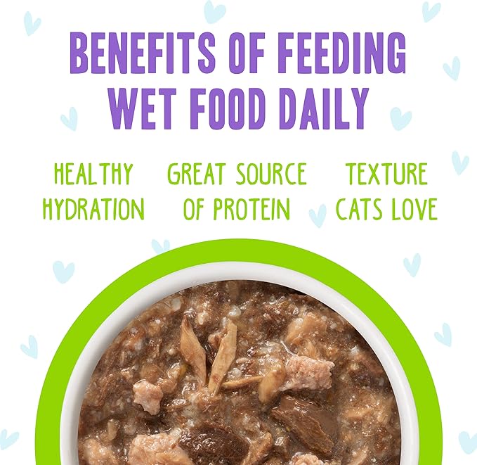 Weruva B.F.F. OMG - Best Feline Friend Oh My Gravy!, Shazaam! with Lamb &amp; Tuna in Gravy Cat Food, 2.8oz Pouch (Pack of 12)