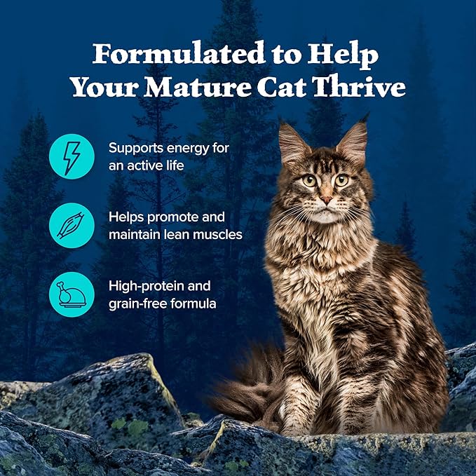 Blue Buffalo Wilderness Wild Delights Minced Wet Cat Food, High-Protein &amp; Grain-Free, Made with Natural Ingredients, Chicken &amp; Trout Recipe in Tasty Gravy, 5.5-oz. Cans (24 Count)