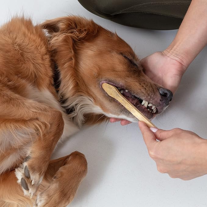 Dog Toothbrush I 4-Pack Two Sided Bamboo Toothbrush for Small and Large Dogs &amp; Cats I Soft Bristles Gentle for Easy Dog Teeth Brushing &amp; Dental Care