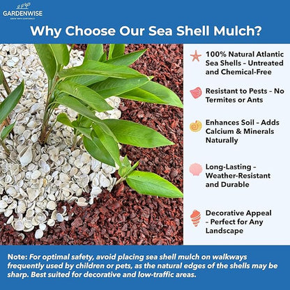 Natural Organic Sea Shell Mulch for Gardens and Landscaping – Decorative and Nutrient-Rich, 0.5–3-Inch Shells, Perfect for Indoor and Outdoor Use (0.3 CF - 8 L - 9 QTS)
