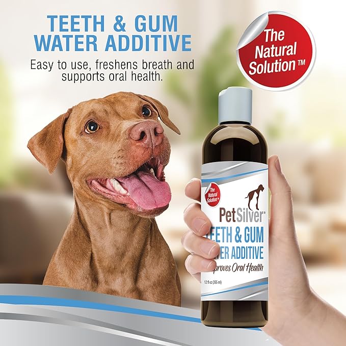 PetSilver Teeth &amp; Gum Water Additive for Dental Care - Pet Breath Freshener - Targets Tartar, Plaque &amp; Eliminates Bad Breath - Dog Oral Care &amp; Cat Teeth Cleaning - No Brushing &amp; Tasteless - 12 fl oz