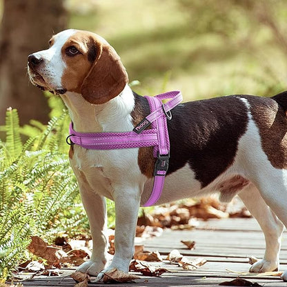 Didog No Pull Dog Harness with Soft Mesh Padded,Reflective &amp; Quick Fit Light Weight Dog Strap Vest Harness,Easy for Walking Training (S:Chest 18-22", Purple)