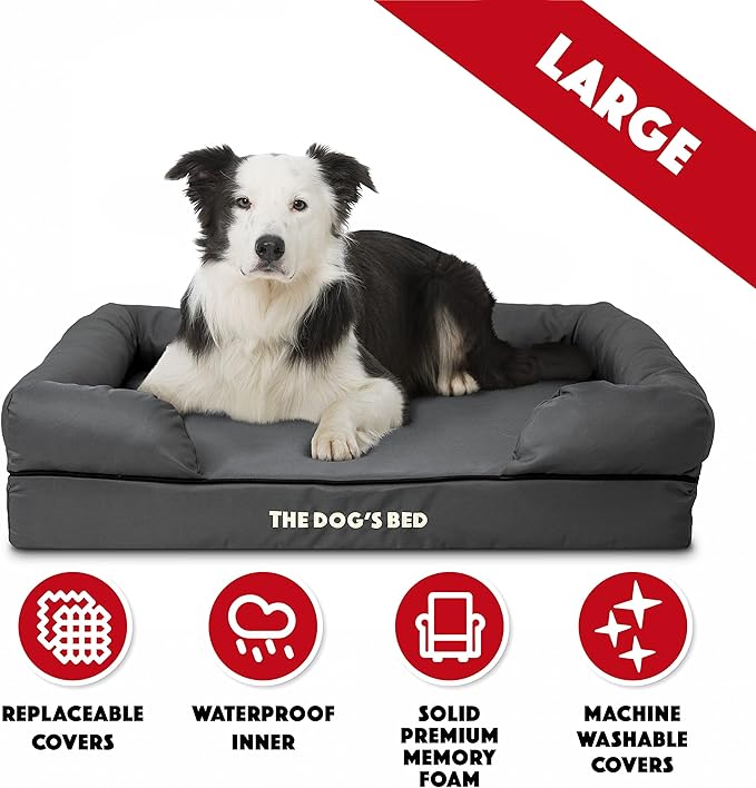 The Dog’s Bed Large Grey with Black Trim 36x27, Waterproof, Veterinary Grade Memory Foam, Pain Relief: Arthritis, Hip &amp; Elbow Dysplasia, Post Surgery, Supportive, Washable Cover, Veterinary-Approved