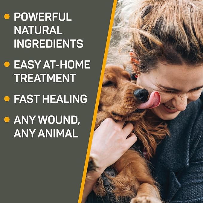 Absorbine Silver Honey Hot Spot &amp; Wound Care Spray Gel 8oz Bottle, Manuka Honey &amp; MicroSilver BG, Medicated for Dogs, Cats, Small Animals
