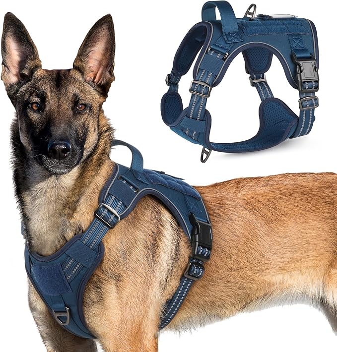 rabbitgoo Tactical Dog Harness for Large Dogs, No Pull Military Service Vest with Handle &amp; Molle, Easy Control for Training Walking, Adjustable Reflective Straps, Blue, XL