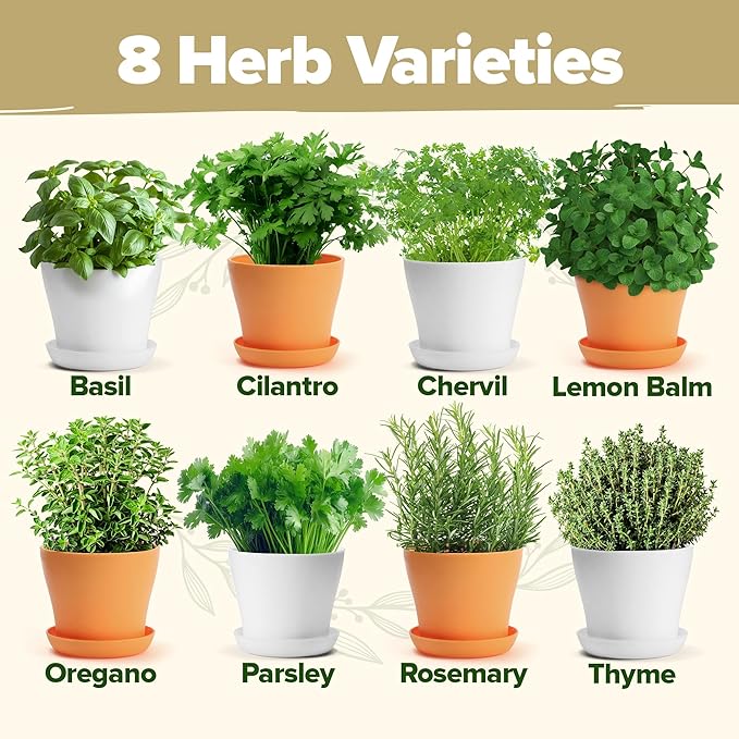HOME GROWN 𝗣𝗥𝗘𝗠𝗜𝗨𝗠 𝗛𝗘𝗥𝗕 𝗞𝗜𝗧 8 Herb Seeds Garden Kit, Complete Indoor Planter Gift with Basil Cilantro Mint &amp; More, Unique Kitchen Growing Set for Women Men, Birthday Housewarming Present