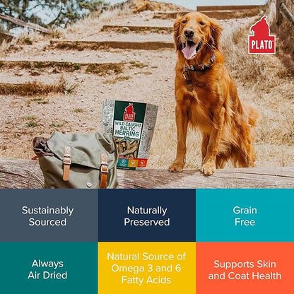 PLATO Pet Treats Fish Dog Treats - Air-Dried, Single Ingredient Dog Treat - with Omega 3 &amp; 6 Fatty Acids to Support Skin and Coat - 100% Whole Fish - Wild Caught Baltic Herring Dog Treats - 3oz