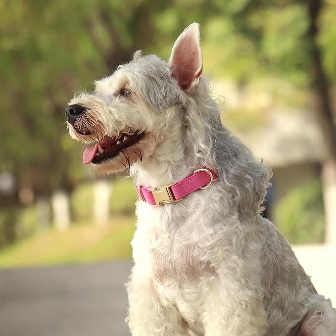 PET ARTIST Soft PU Leather Dog Collar, Bright &amp; Stylish Hot Pink Dog Collar Girl with Quick Release Rose Metal Buckle, Nylon Padded Durable Pet Collars Adjustable for Medium Dogs, Neck Fit 13-19"
