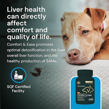 VETRISCIENCE Veterinary Strength Comfort &amp; Ease Capsules - Mobility Supplement for Pets - Supports Aches from Normal Exercise - Joint Care for Dogs &amp; Cats - 180 Count