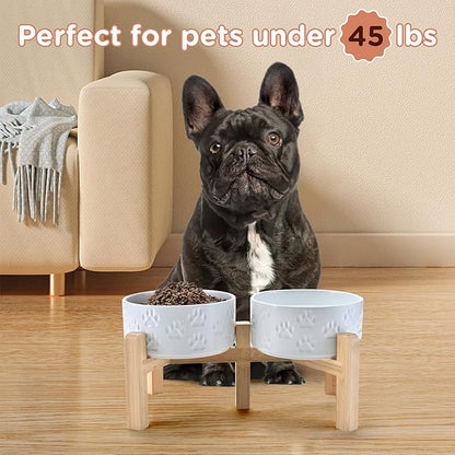 SPUNKYJUNKY Elevated Dog Bowls Ceramic, 6.1&