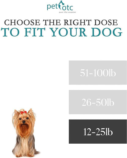 Anti-Motion Sickness and Nausea Relief for Small Breed Dogs, Relief for Disorientation and Dizziness, 10 Tablets
