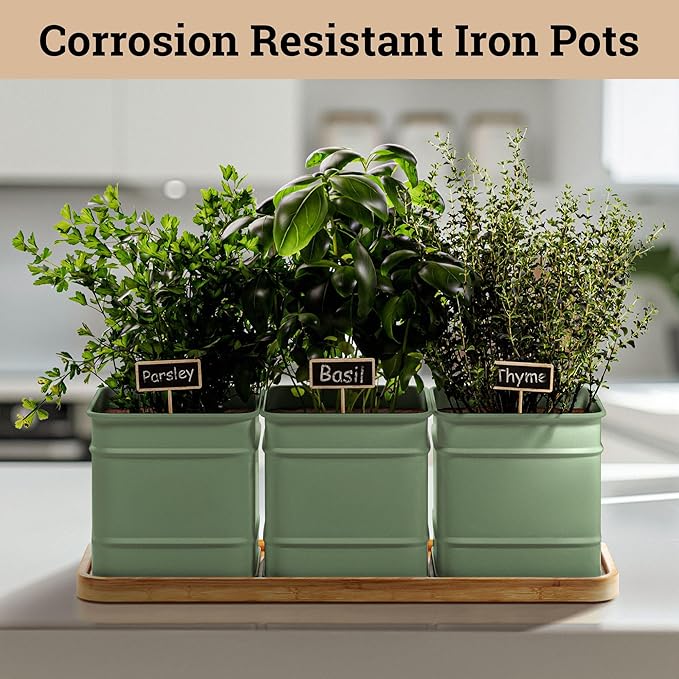 Herb Planter Indoor - 3 Iron Herb Pots with Drainage Holes, Varnished Bamboo Tray, Customizable Labels &amp; Marker Pen - Indoor Herb Garden Planter - 3 Pots for Herbs - Inside Spice Garden - Basil Pot