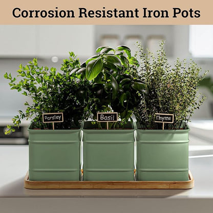 Herb Planter Indoor - 3 Iron Herb Pots with Drainage Holes, Varnished Bamboo Tray, Customizable Labels &amp; Marker Pen - Indoor Herb Garden Planter - 3 Pots for Herbs - Inside Spice Garden - Basil Pot