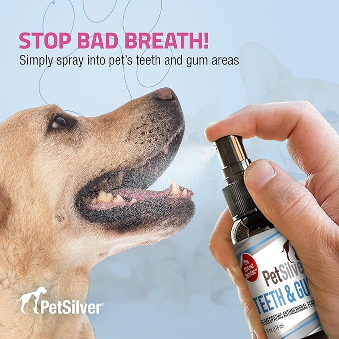 PetSilver Teeth &amp; Gum Spray - Dog Dental &amp; Teeth Cleaning Spray for Plaque &amp; Tartar Build-Up Reduction - Natural Breath Freshener for Dogs and Cats - Patented Chelated Silver - Made in The USA - 4 oz