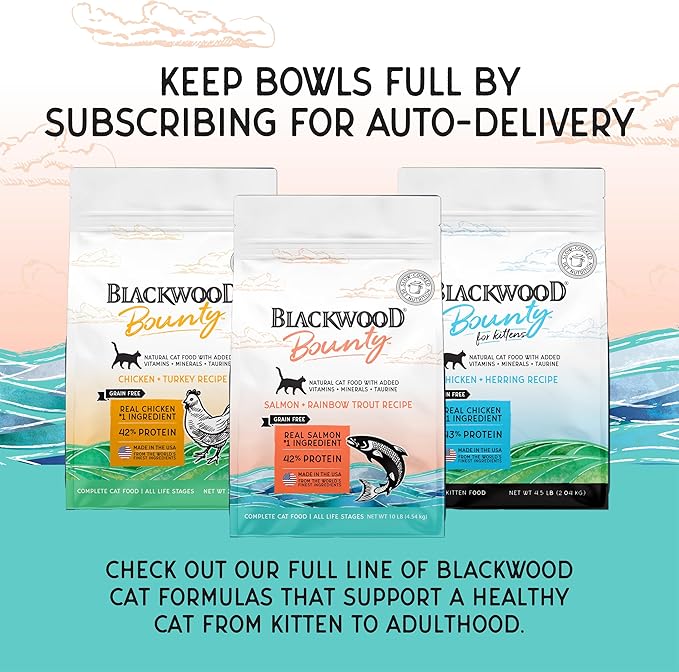 Blackwood Bounty Dry Cat Food, Salmon &amp; Rainbow Trout Recipe for All Life Stages, 10 Pound Bag, High Protein, Grain Free