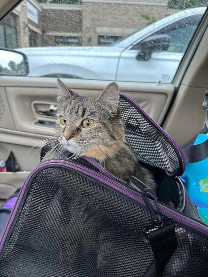 petisfam Soft Pet Carrier for Large and Medium Cats, 2 Kitties, Small Dogs. Easy to Get Cat in, Great for Cats That Don&