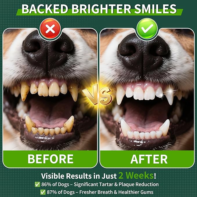 2 Pack Dog Dental Powder, Dog Teeth Cleaning Powder with Natural Herbal Blend &amp; Postbiotics, Dental Powder for Dogs Teeth, Targets Tartar &amp; Reduces Plaque &amp; Bad Breath for Dogs &amp; Cats, Mint -150Grams