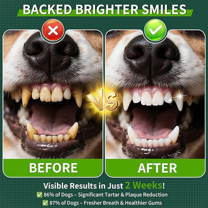 2 Pack Dog Dental Powder, Dog Teeth Cleaning Powder with Natural Herbal Blend &amp; Postbiotics, Dental Powder for Dogs Teeth, Targets Tartar &amp; Reduces Plaque &amp; Bad Breath for Dogs &amp; Cats, Mint -150Grams