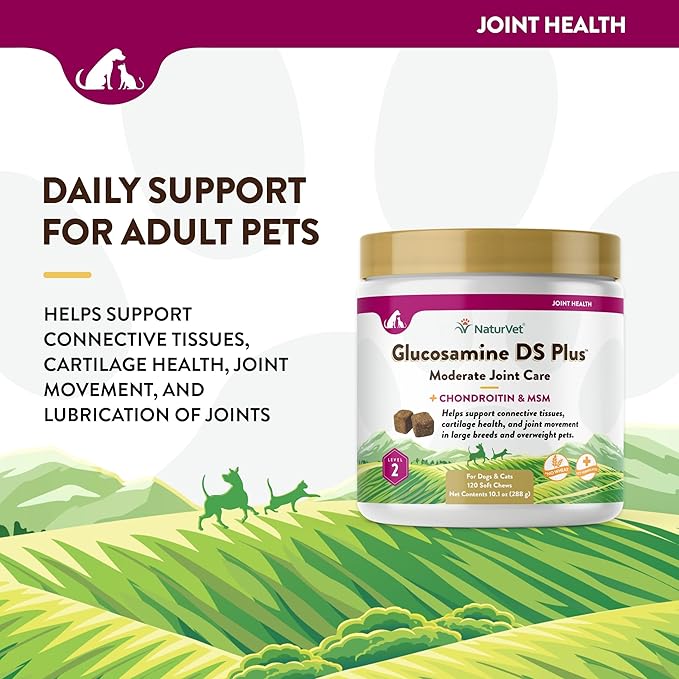 NaturVet – Glucosamine DS Plus - Level 2 Moderate Care – Supports Healthy Hip &amp; Joint Function – Enhanced with Glucosamine, MSM &amp; Chondroitin – for Dogs &amp; Cats–120 Soft Chews