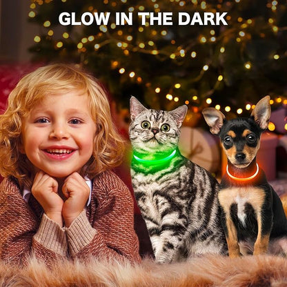BSEEN Light Up Dog Collar - Rainproof LED Dog Collar Rechargeable - TPU Cuttable Glowing Pet Collar for Small Puppies&amp; Cats, Safety Dog Lights for Night Walking&amp; Camping (XS- Orange 40cm)