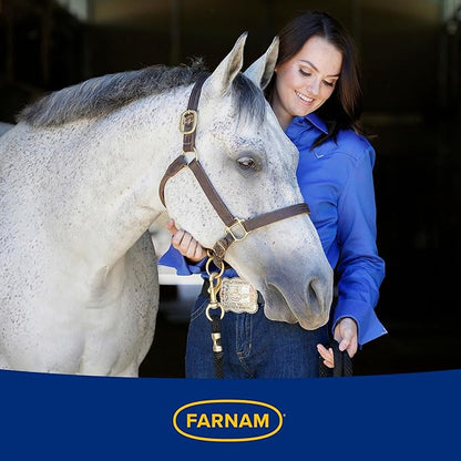 Farnam Endure Sweat-Resistant Fly Spray for Horses, Lasts Up to 14 Days, Protects Against Flies, Gnats, Mosquitoes, Ticks &amp; Lice, 32 oz.