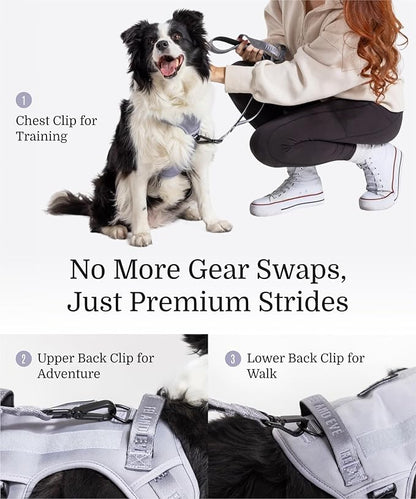 2025 New Edition, Fei &amp; Eve MagEase Dog Harness - 3-Second Magnetic Buckles | 3-Point No-Pull Control | Heavy-Duty 900D Nylon | Dual Safety Handles | Breathable Mesh | Adjustable Fit | X-Large, Gray