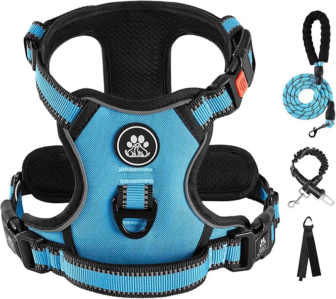 IVY&amp;LANE No Pull Dog Harness for Small Dogs, Dog Vest Harness with Leash, Safety Belt and Storage Strap, Fully Adjustable Harness, 360° Reflective Strip, Soft Handle (Blue, S)