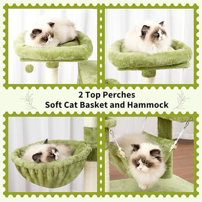 Cat Tree for Indoor Cats, 71&
