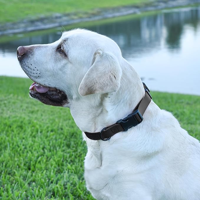Dogline Biothane Waterproof Dog Collar with Quick Release Buckle Strong Coated Nylon Webbing with Odor- Proof for Easy Care Easy to Clean Fits Small Medium Large Dogs, Black 5/8" W 9-14" L