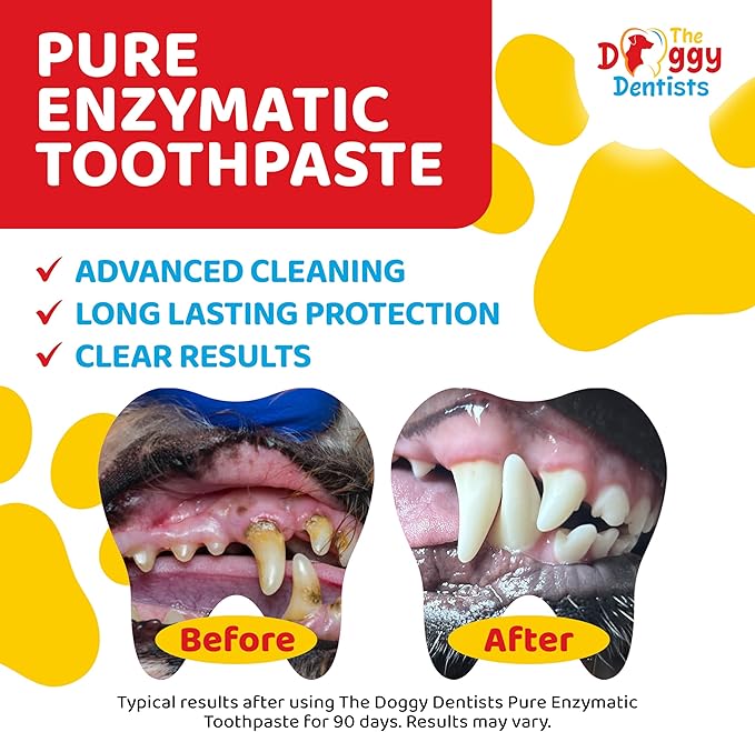 Vet Strength Pure Enzymatic Dog &amp; Cat Toothpaste | 3.5oz Beef Flavor | Enzyme Pet Toothpaste for Tartar Removal, Bad Breath, Teeth Cleaning | Suitable for Puppies &amp; Kittens
