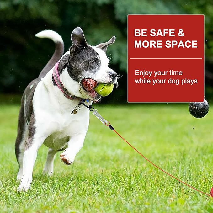 Snagle Paw Dog Tie Out Cable 30FT-1000LBS Break Strength,Heavy Duty Dog Leads for Yard with Shock Absorbing Spring &amp; Swivel Hook,Long Leash Cable for Outdoor Tethering,Dog Line for Small Large Dogs